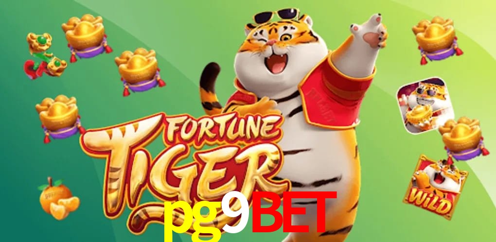 Experiência VIP pg9bet